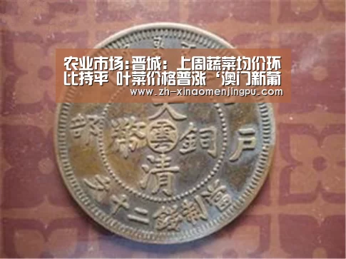 澳门新葡京游戏官网
