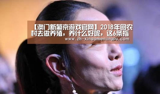 澳门新葡京游戏官网