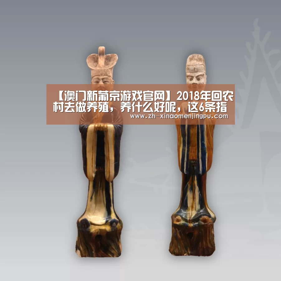 澳门新葡京游戏官网