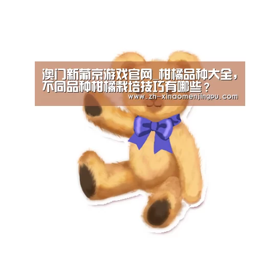澳门新葡京游戏官网