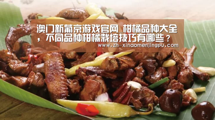 澳门新葡京游戏官网