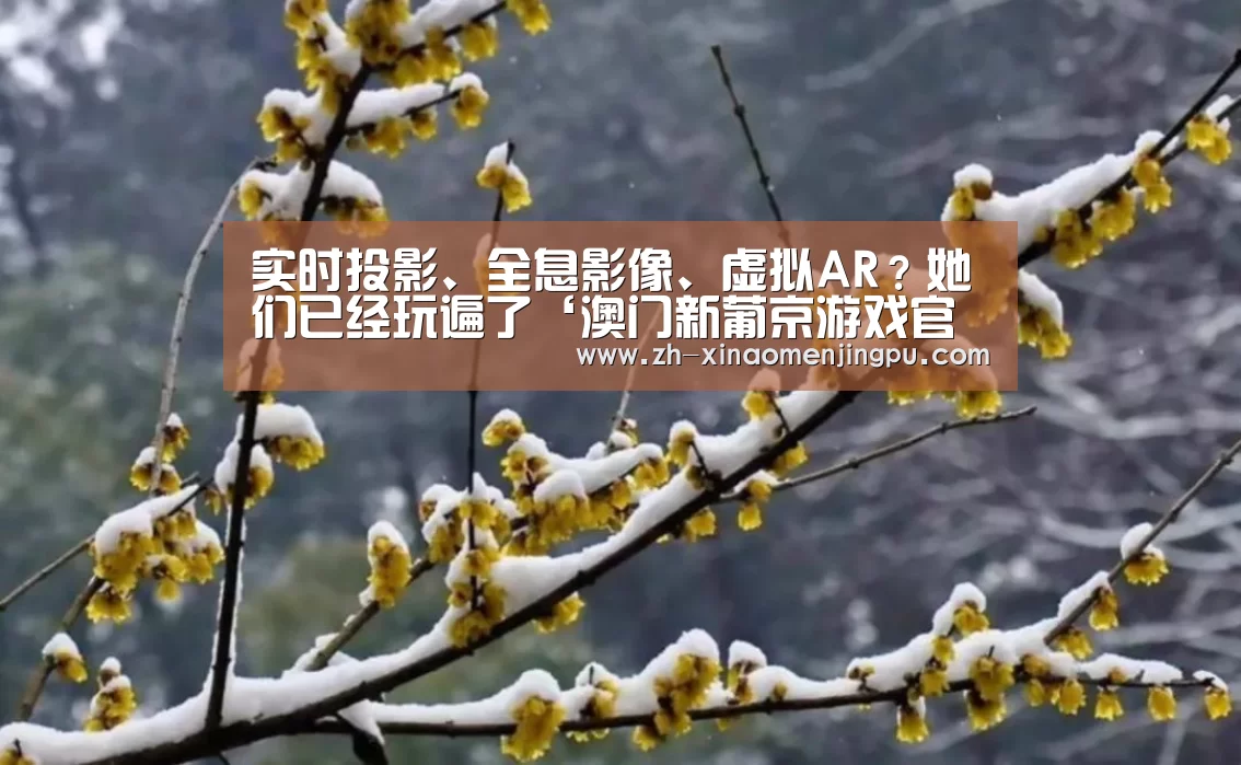 澳门新葡京游戏官网