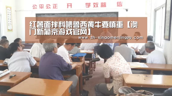 红薯面拌料喂鲁西黄牛要慎重【澳门新葡京游戏官网】(图2) 澳门新葡京游戏官网